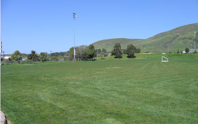 Image forNatural Grass Lower Fields